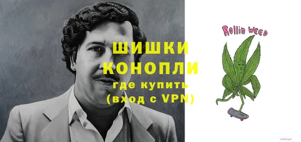 ГАЛЛЮЦИНОГЕННЫЕ ГРИБЫ Белоозёрский