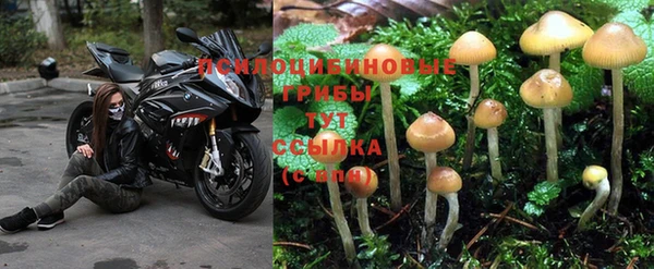 ALPHA-PVP Белокуриха