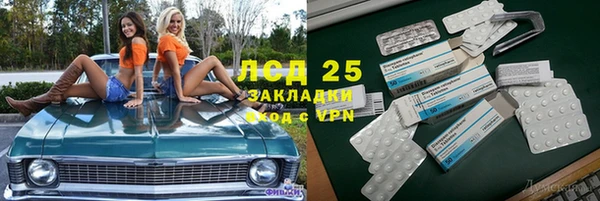 ГАЛЛЮЦИНОГЕННЫЕ ГРИБЫ Белоозёрский