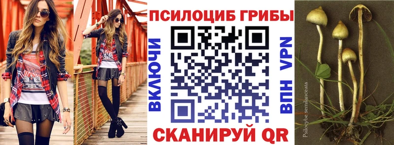 Купить закладки  Нягань  Псилоцибиновые грибы ЛСД 